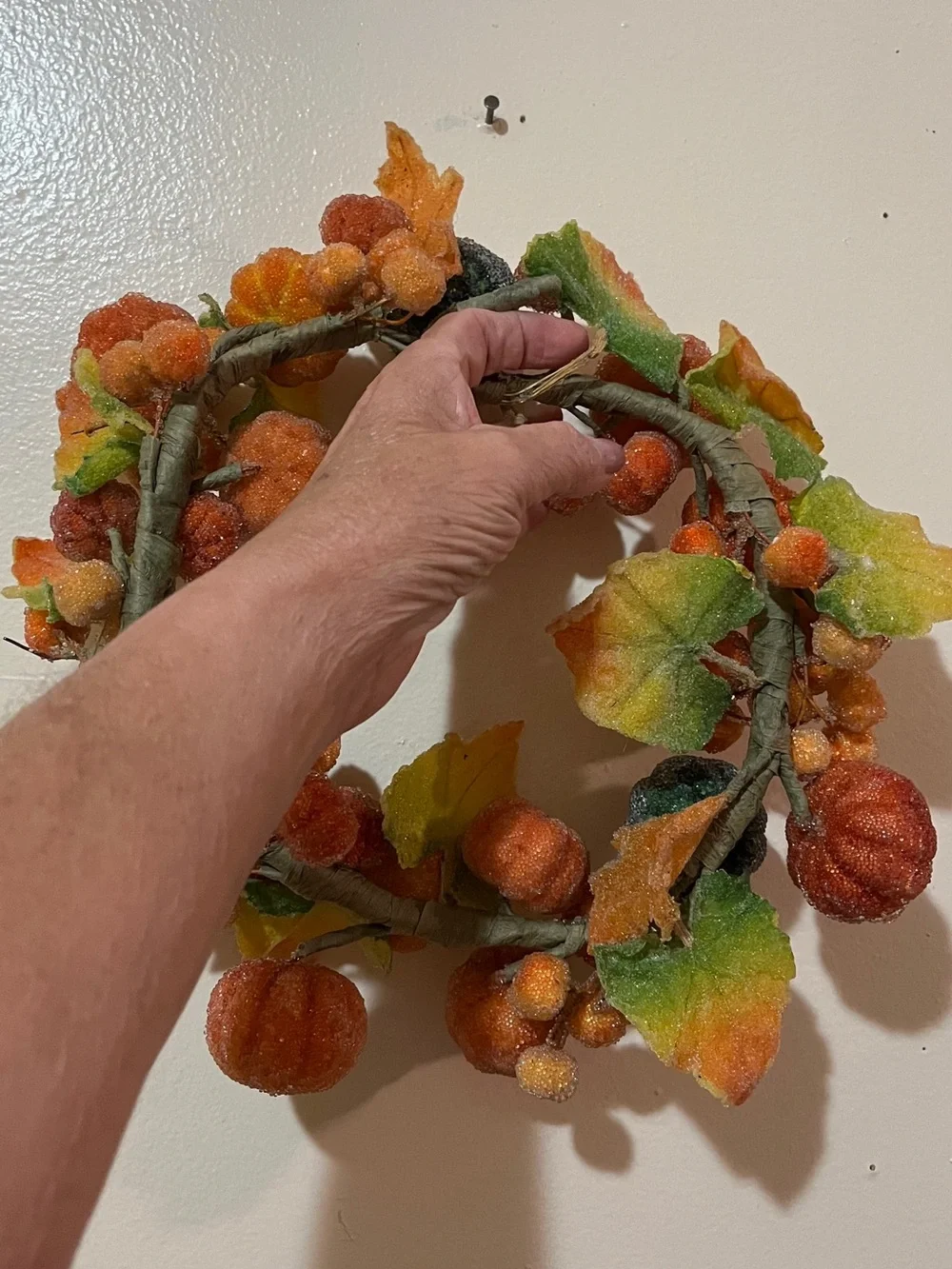Sugared Fruit diameter 11”